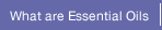 what are essential oils