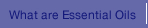 what are essential oils