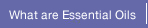 what are essential oils